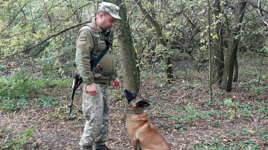 Здійснив мрію через 20 років: прикордонник із Волині охороняє кордон разом із вівчаркою Сенді