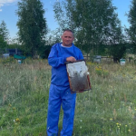 Мед купують зі всієї області: волинянин понад 15 років займається пасічництвом