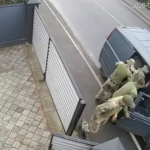 Нардеп Гончаренко звинуватив ТЦК на Волині у проникненні на приватне подвір’я та викраденні людини: що відповіли у центрі комплектування