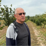 Привіз 40 кущів із Польщі, а тепер має понад 500: як волинянин вирощує фундук