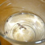 перевірка насіння на якість