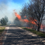 Вогонь підбирався до будинків: за вихідні на Волині вигоріло понад 30 гектарів сухостою