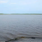 700 гектарів водойми на кордоні двох країн: волиняни і білоруси ділять озеро