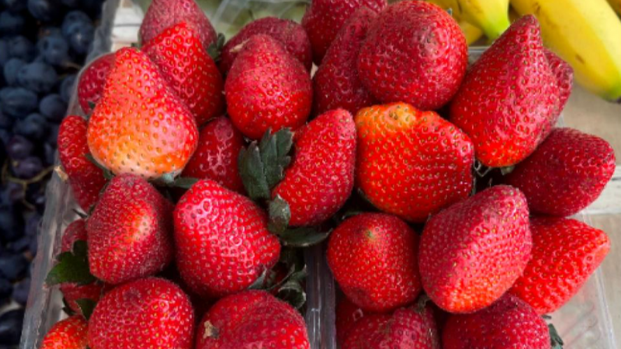 Ціни кусаються: на волинському ринку продають першу полуницю