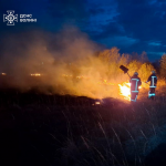 Через людську недбалість на Волині вигоріло близько 6 гектарів сухостою