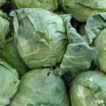 Капуста за ціною мʼяса на ринку у Луцьку: звідки везуть і чому така вартість?