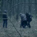 На Волині судили двох молодиків за підпал лісу та побиття лісничого