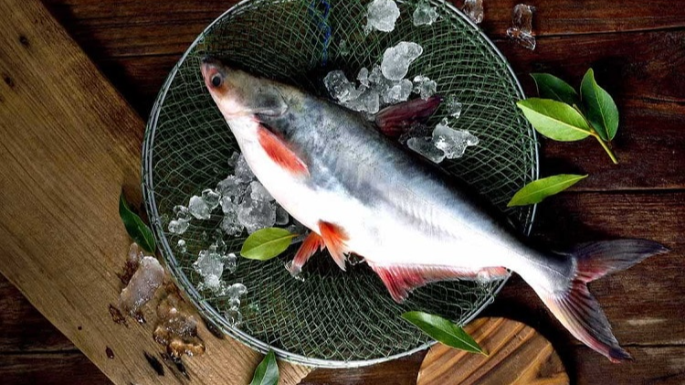 Її продають усюди: яку рибу категорично не варто їсти
