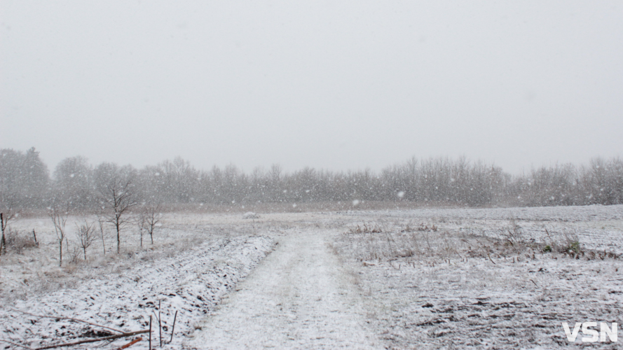 Хуртовини та штормовий вітер: прогноз погоди на 27 та 28 грудня на Волині