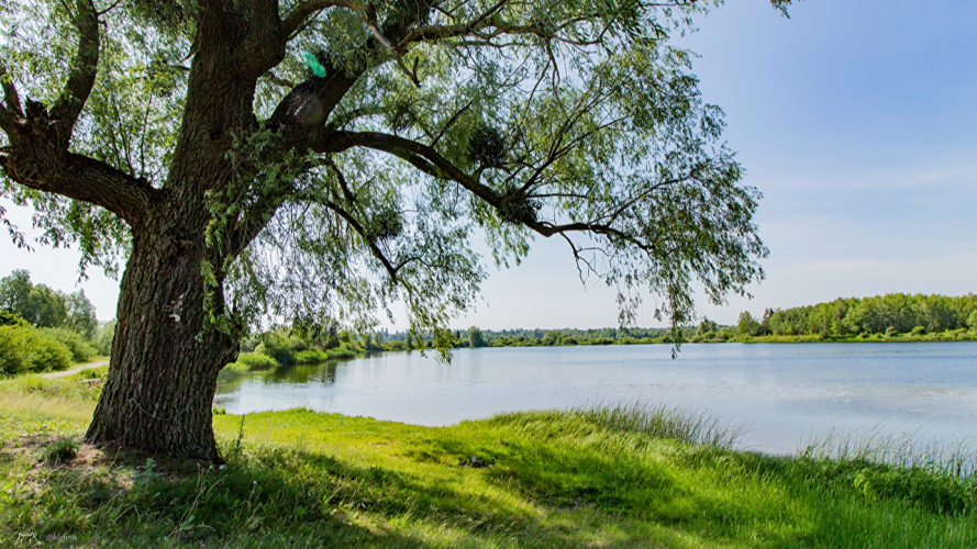 Благоустрій річок і водойм, озеленення і вивезення мулу: як у Луцьку дбатимуть про довкілля