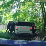 Водій був нетверезий: подробиці погоні за позашляховиком на трасі Луцьк-Володимир. Відео