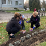 Тисяча тюльпанів для найменших сердець: у Луцьку створили квітник надії для передчасно народжених дітей