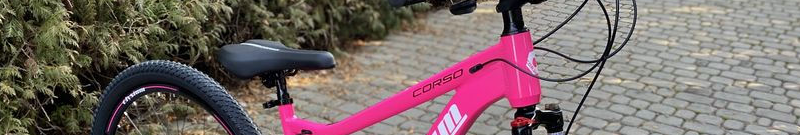 Лучанку засудили на 5 років увʼязнення за крадіжки велосипедів: що відомо