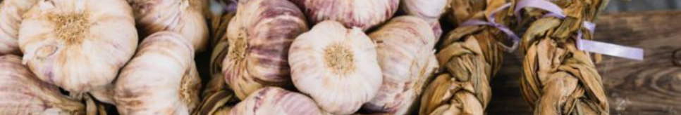 Не 1, а 3 причини: чому озимий часник слід саджати в листопаді