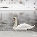 На Волинь йдуть сильні морози та ожеледиця: прогноз погоди на вихідні