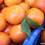 Скільки коштують мандарини на ринку у Луцьку?