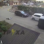 Перешкоджала ТЦК: прокоментували мобілізаційні заходи у Луцьку, де постраждала вагітна