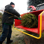 Не на смітник – з користю: куди подіти ялинку після свят