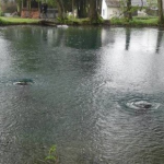 Люди б'ють на сполох: на Волині вже не можна набрати води з унікального джерела
