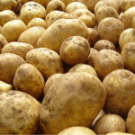 Ці сорти картоплі в Україні дають рекордний урожай: городники радять садити саме їх