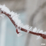 Морози повертаються: яким буде початок лютого на Волині