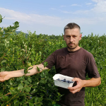 Замість окопів — ягідна плантація: історія ветерана з Волині, який після поранення став фермером