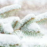 Морози й сніг на Новий рік: якою буде погода у святкову ніч