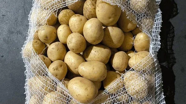 Скільки коштує насіннєва картопля на Волині?