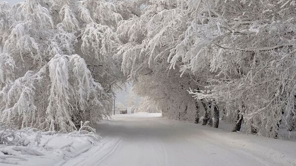 Прогноз погоди з 19 по 25 січня