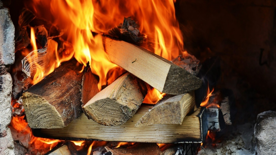 Дрова на зиму: де замовити легально, скільки коштують і за що можна отримати штраф