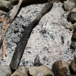 Березневий лайфхак: навіщо зараз розсипати золу по саду