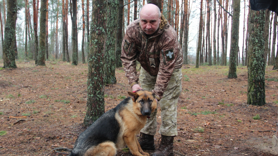 Ходить у наряди та попереджає про небезпеку: у волинській бригаді на сході України разом із бійцями служить вівчарка «Пуля»