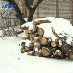 На Волині розслідують мільйонні закупівлі лісу для шахт: чи привласнили бюджетні кошти?