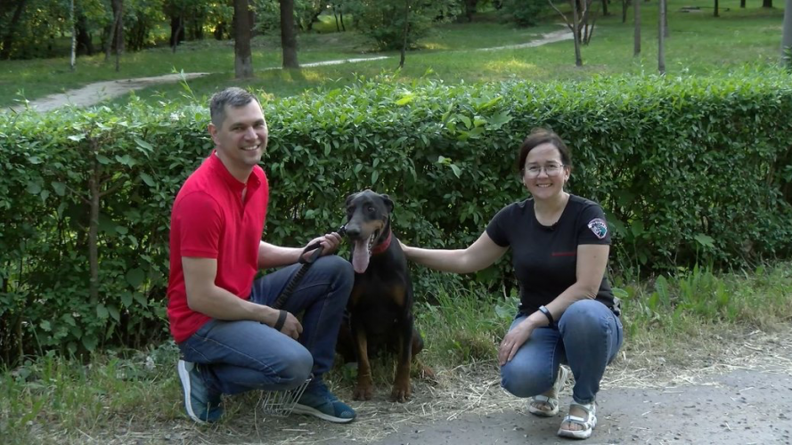 Як у Луцьку волонтери допомагають тваринам під час війни