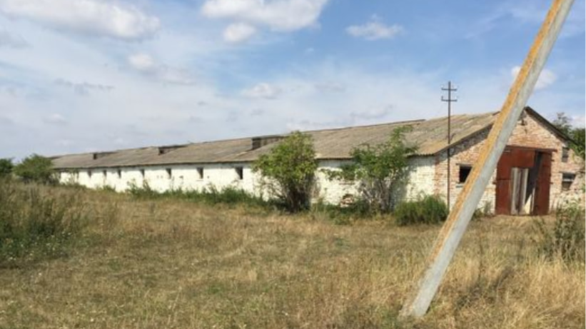 Біля Луцька продають свиноферму за 4 мільйони