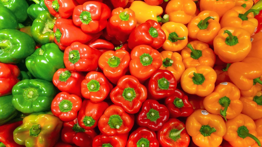 Які врожайні сорти болгарського перцю садити на розсаду: плоди будуть величезними, м’ясистими та солодкими