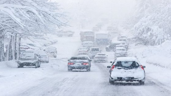 Автобуси стоять, а людей евакуювали у ще більшу заметіль: у негоду на Волині «забули» про важливу трасу