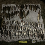 На Волині браконьєр під час нересту наловив риби на майже пів мільйона гривень