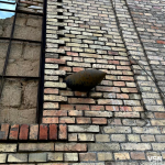 Незламний оберіг: Храм на Волині, який вистояв перед снарядом, що застиг у його стіні. Фоторепортаж