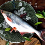 Її продають усюди: яку рибу категорично не варто їсти