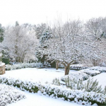 чим обприскати сад у лютому