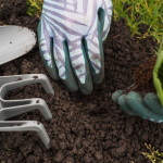 Розсада пре, як на дріжджах - як пригодувати добриво за копійки на своїй кухні