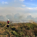 На Волині за добу вигоріло понад шість гектарів у п’яти локація: оштрафували одного палія