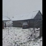 Через слизьку дорогу на Волині водійка легковика злетіла з дороги, протаранила огорожу і в'їхала у хлів