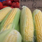 Які ціни на домашню птицю та качани кукурудзи на Луцькому ринку