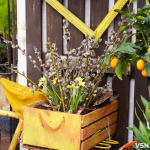 Як правильно зберігати освячену вербу та що робити зі старою