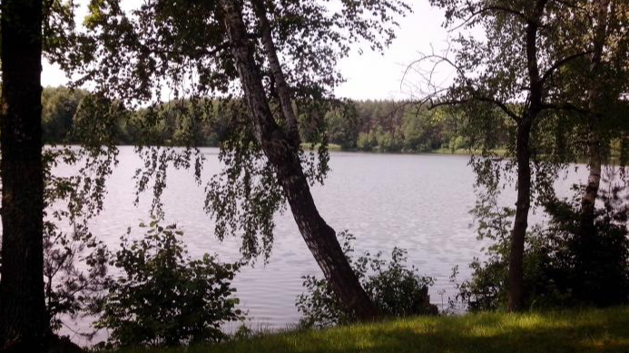 Підходить для риболовлі та для відпочинку: розповіли про маловідоме озеро на Волині