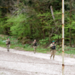 Волинянин дав хабар прикордоннику, щоб втекти з України через ліс — його судили