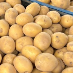 Спека вдарила по картоплі на Волині: чи загрожує області дефіцит