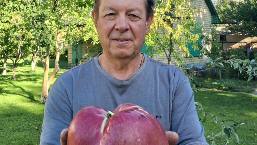 найбільше яблуко в Україні, Юрій Кожем'якін